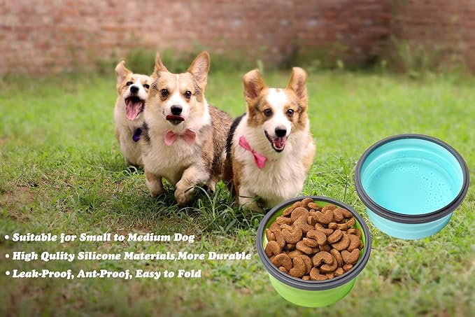 2 Pack Collapsible Silicone Travel Dog Bowls with Lids - Portable Pet Feeders, 17 oz 500ml