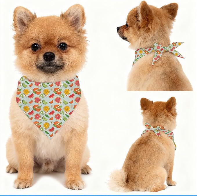 Mixed Fruit Dog Bandana, Citrus Berry Pattern Pet Triangle Scarf for Small Medium Dogs, Cute Puppy Bandana for Daily Wear Walks Picnic Birthday Party Family Photos