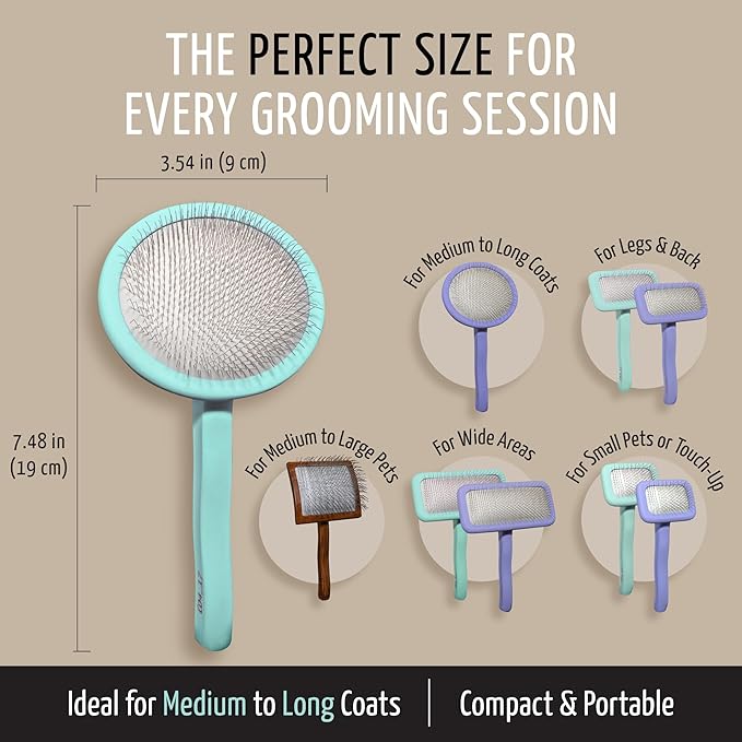 Tauro Pro Line Slicker Brush for Dogs & Cats, Deshedding, Dematting & Detangling Grooming Tool for Medium to Long Coats, Ideal for Cocker Spaniels, Round Flexible Cushion, Mint, Medium Size (M)