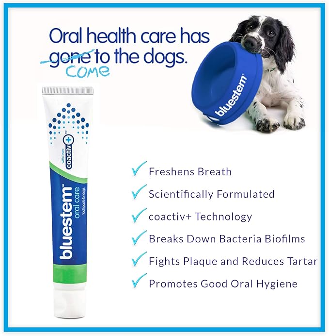 Dog Toothpaste : Vanilla Mint Flavor Tooth Paste for Dogs. Teeth Brushing Cleaner Pet Breath Freshener Oral Care Dental Cleaning Kit. Tartar & Plaque Remover Brushes