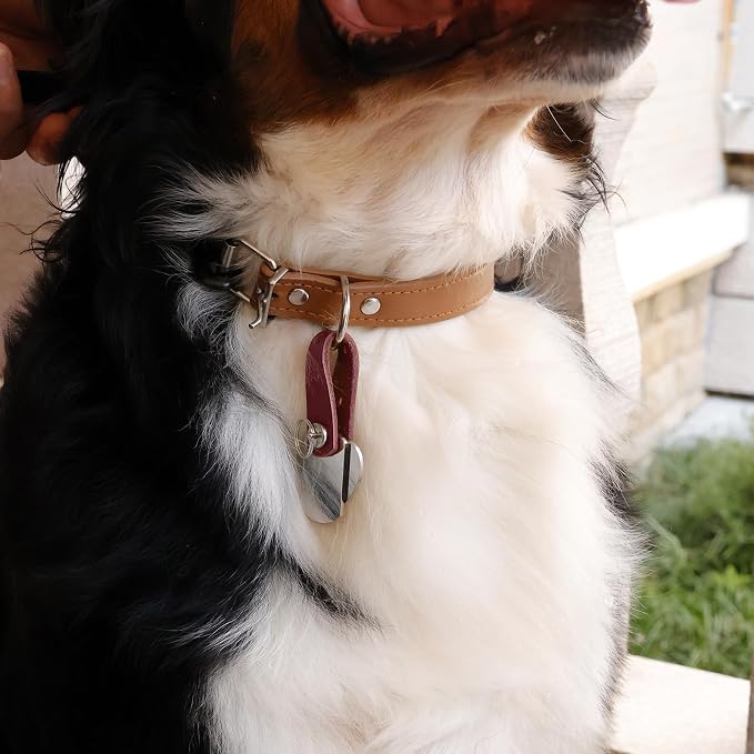 Pet ID Tag Silencer - Dog & Cat Collar Leather Connector | Holder Up to 4 Dog Tags(Red)