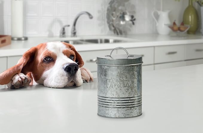 Amici Pet, , Retro Treats Galvanized Relief Lettering Metal Storage Canister, Food Safe, Push Top, 72 Ounces