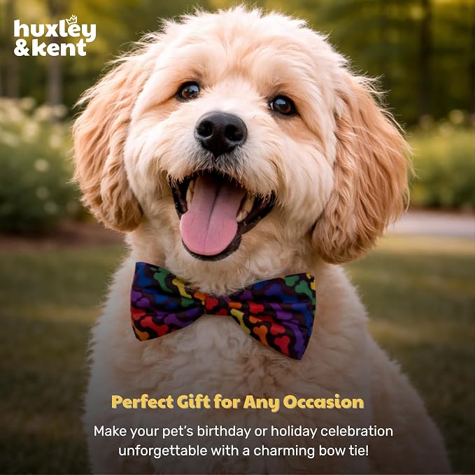 Huxley & Kent Pet Bow Tie for Dogs & Cats, Unity, XLarge | Hook & Loop Attaches to Any Collar, Soft Polyester, Lightweight & Machine Washable, Perfect for Holidays & Photos