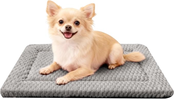 Dog Bed Mat - Dog Crate Pad - Reversible Mat for Pet Comfort - Soft Bed Crate Pads for All Seasons - Durable, Machine Washable Mat for Crates, Travel, and Home (Light Gray, 24" L*18" W*1.5" Th)