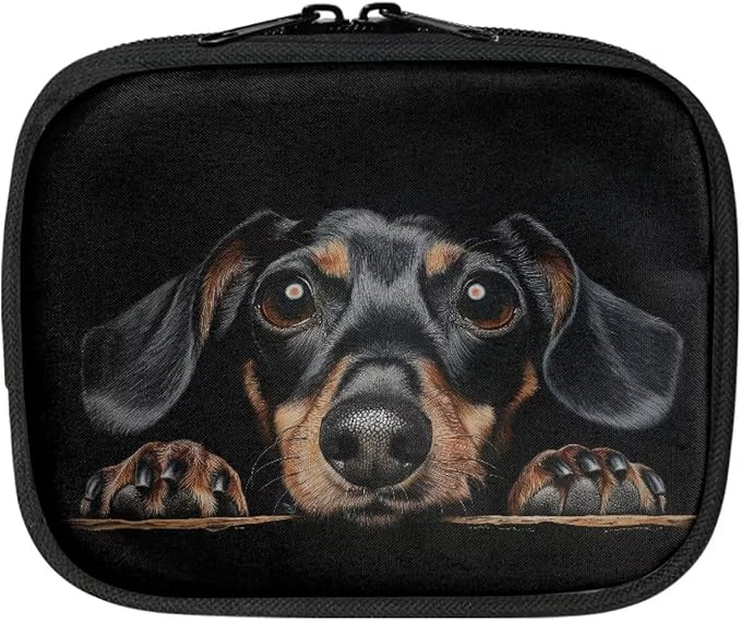 Pet First Aid Kit for Dogs Cute Dachshund Black Small Empty Emergency Kit Bag Dogs First Aid Travel Kit Pouch with Zipper Small Medicine Medical Bag