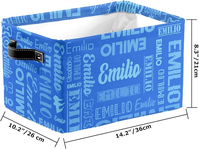 Personalized Toy Box Storage Bins for Boys Girls with Name, Kids Custom Storage Basket Cubes Organizer with Handles, Shelf Closet Storage Baskets Bin Customized Gift, 1 Pack