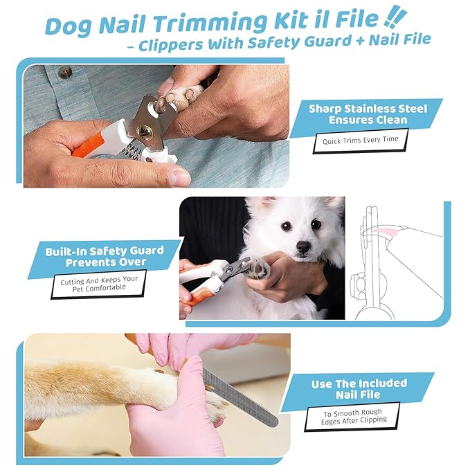 Pet Steam Brush for Dog & Cat – 3-in-1 Spray Hair Removal Comb for Shedding & Grooming, Softens Fur & Reduces Static – Water Brush for Long & Short Coats, Bath-Hating Pets, Includes Waterless Shampoo