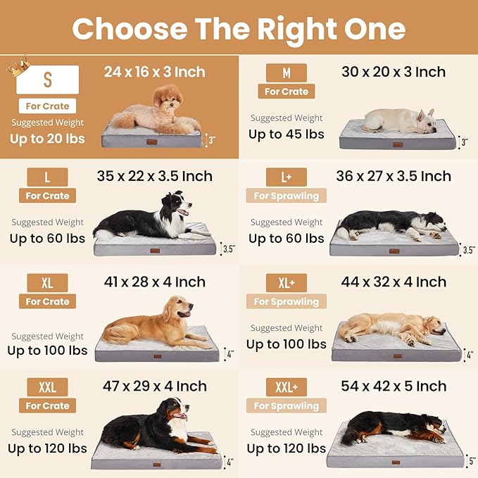 OhGeni Orthopedic Waterproof Small Dog Bed, Memory Foam, 24 inch(Gray) | Machine-Washable Removable Cover in Easy-Clean Fabric, Reversible Memory Foam & Easy-Carry Handle, Suitable for Crate