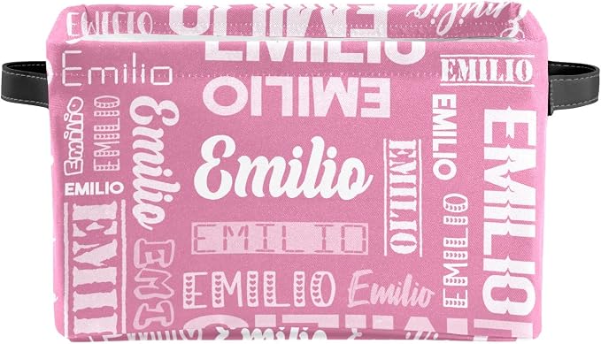 Personalized Toy Box Storage Bins for Boys Girls with Name, Kids Custom Storage Basket Cubes Organizer with Handles, Shelf Closet Storage Baskets Bin Customized Gift, 1 Pack