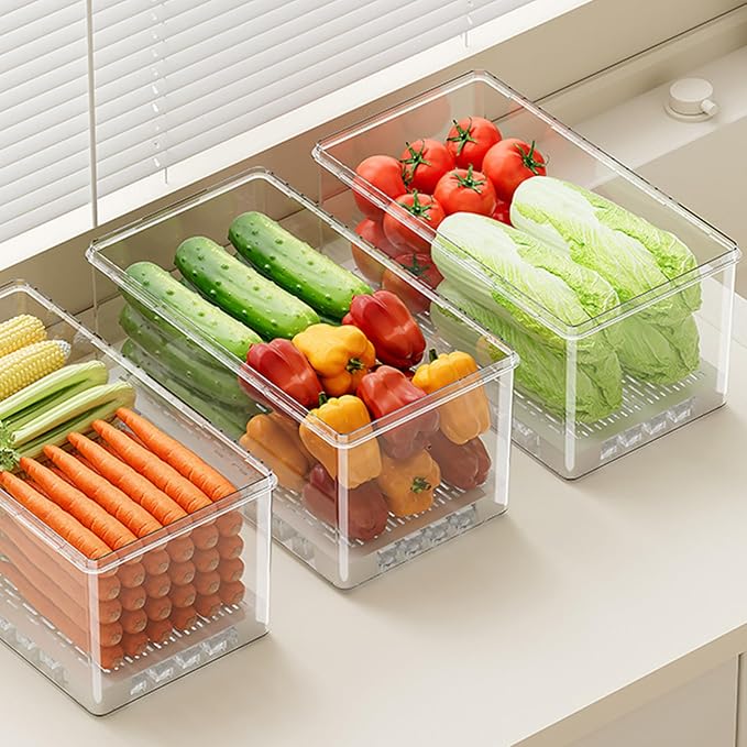 Transportable Hand Carry Food Storage Container Produced from PET Exemplary for Daily Commuting Outdoor Picnics and Home Organization
