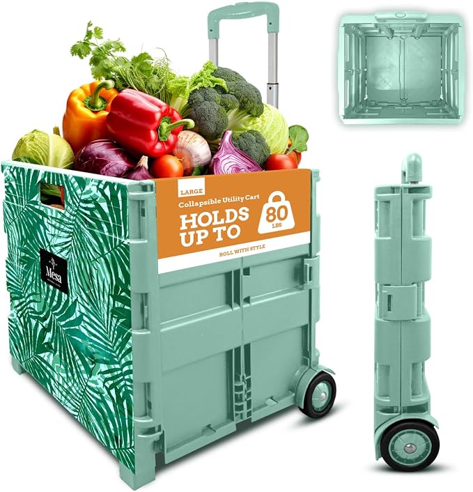 Inspired Living Ultra-Slim Rolling Collapsible Storage Pack-N-Roll Utility-carts, with Telescopic Handle, for Home, Garden, Shopping, Office, School use, Large, Motif Print
