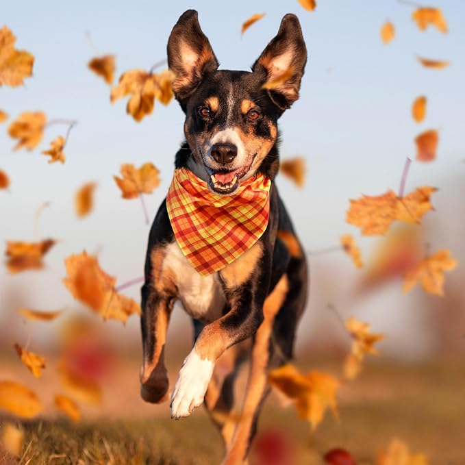 Abbylike 50 Pcs Fall Plaid Dog Bandanas Bulk, Autumn Gingham Pattern