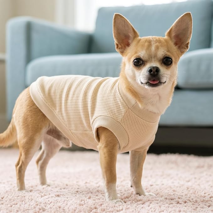 1 Pack Dog Shirt for Small Supplies Functional Waffle Dog Clothes Warm Soft Sweatshirt Outfit for Dogs Cats Pet Apparel
