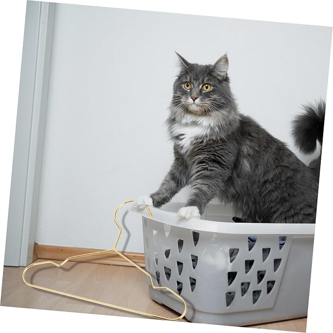3pcs Dog Clothes Hangers Sturdy Pet Clothing Holders Iron Pet Apparel Organizer for Home