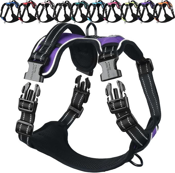 VIVAGLORY No Pull Dog Harness Vest Harness, S, Purple - Plain | with Handle Front and Back Clip for Training & Pulling, No Pull & Escape Proof Padded Adjustable for Pet Puppy
