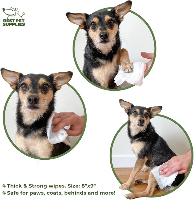 Best Pet Supplies Pet Grooming Wipes for Dogs & Cats,Deodorizer for Coats & Dry, Itchy, or Sensitive Skin, Clean Ears, Paws, Body, & Butt - Cleansing Tea Tree