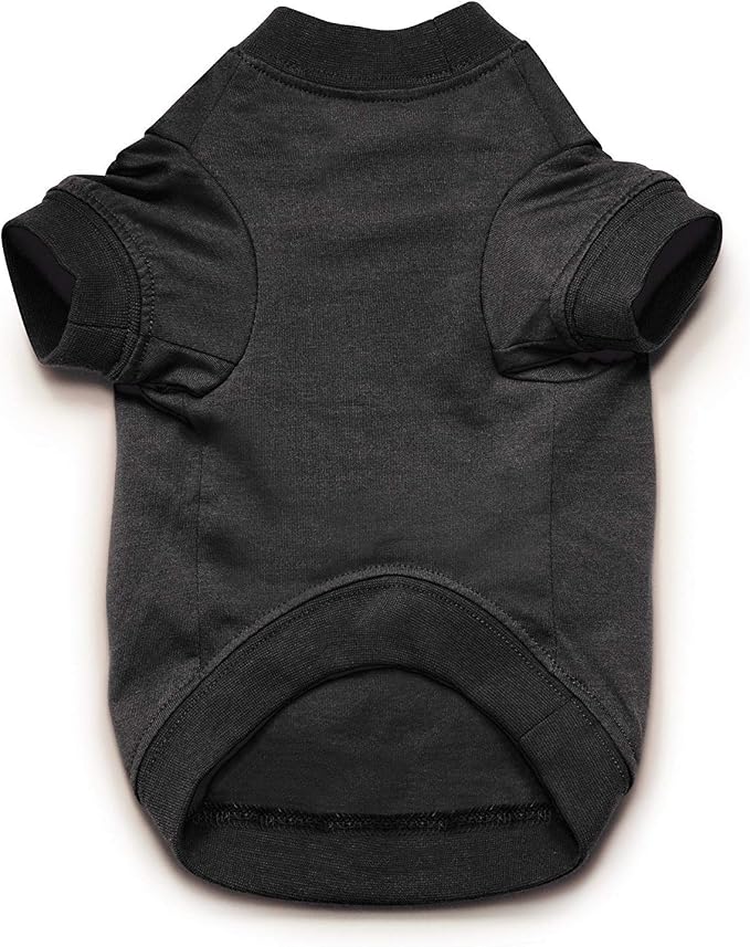Zack & Zoey Basic Tee Shirt for Dogs, 20" Large, Black