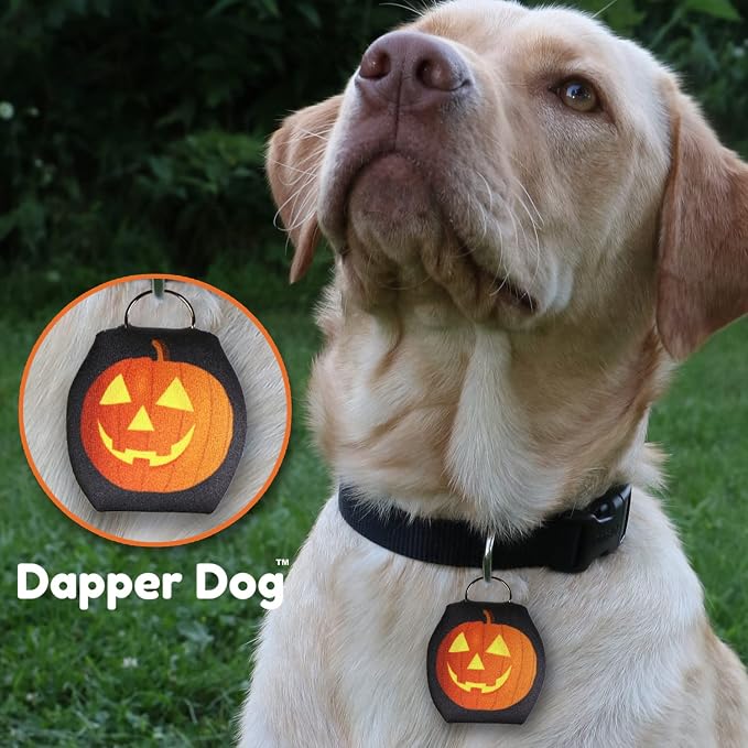 Dapper Dog - Dog Tag Silencer with Tag Ring (Halloween Pumpkin)
