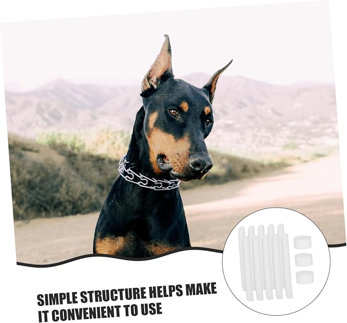 BESPORTBLE 10pcs Dog Ear Stand Fixed Support Puppy Ear Tying Device Soft Foam Tape Pet Accessory