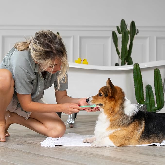 Mozeat Lens 8 Pack Small Dog Toothbrush Cat Toothbrush Pet Toothbrush Mini Head Soft Dog Cat Tooth Brush for Sensitive Puppy, Kitten, Cats & Small Breed Dogs, Portable Travel Friendly and Easy to Use
