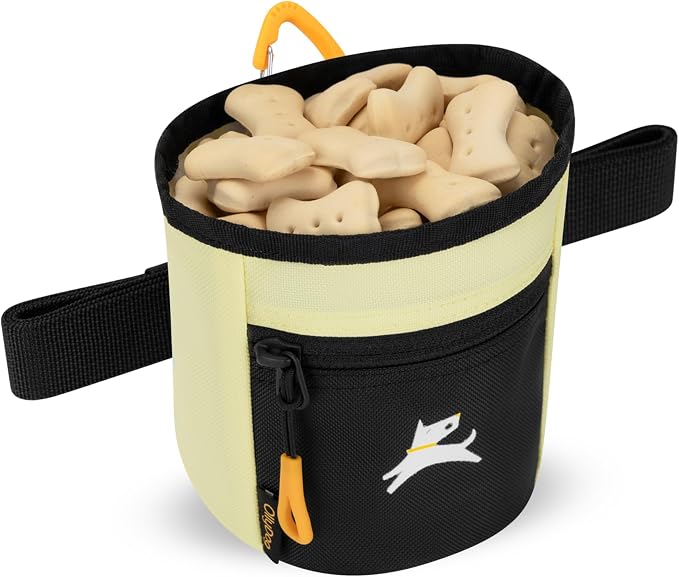 OllyDog, Goodie Treat Bag, Dog Treat Training Pouch | Magnetic Closure | 3 Ways to Wear | Hands-Free Waist Belt | Water-Resistant Recycled Vegan Fabric (Sol)