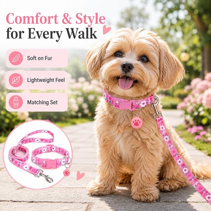 Floral Matching Dog Collar and Leash Set with AirTag Holder-Pink Daisy/M | Anti-Lost,Adjustable Durable Pet Collar Leash Combo for Medium Boy Girl Dogs,for Outdoor Walking Hiking Training Running
