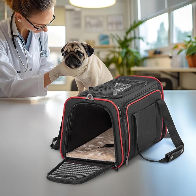 Petsfit Large Expandable Cat Carrier for Travel, Up to 18 lb | 19 x 12 x 12 in; roomy expandable space with a reinforced frame, locking zippers, interior safety tether and large pocket.