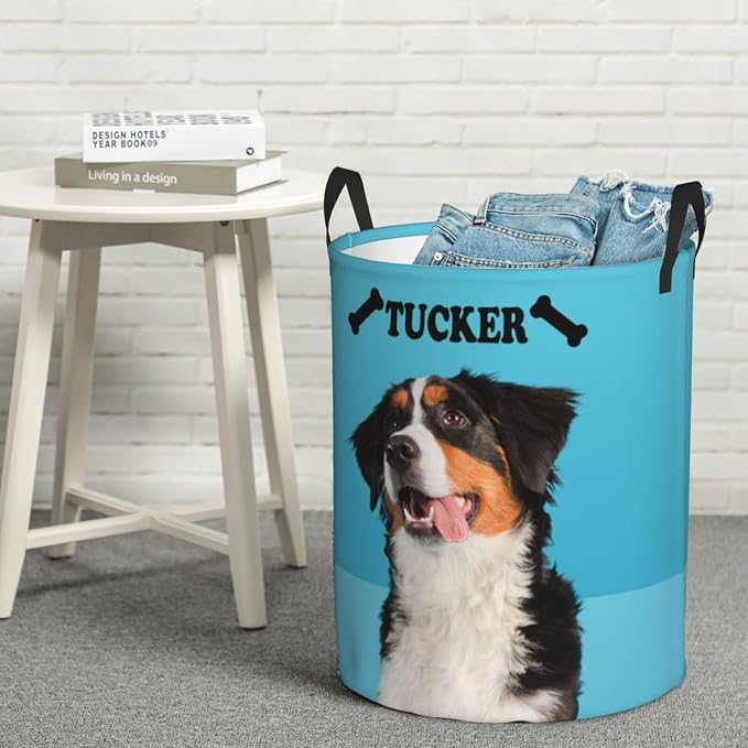 Personalized Large Dog Toy Storage Basket Bin Collapsible Custom Pet Stuff Box Chest Container for Living Room Organizer for Dog Toys,Dog Food,Blankets,Clothing (SkyBlue)