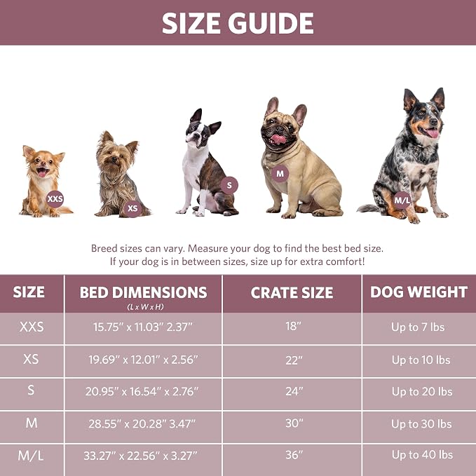 MidWest Homes for Pets QuietTime Fashion XS Dog Bed - Pink Faux Fur Bolster, Ultra-Soft and Machine Washable, Fits 22-Inch Crates and Carriers, for Small Dogs and Cats
