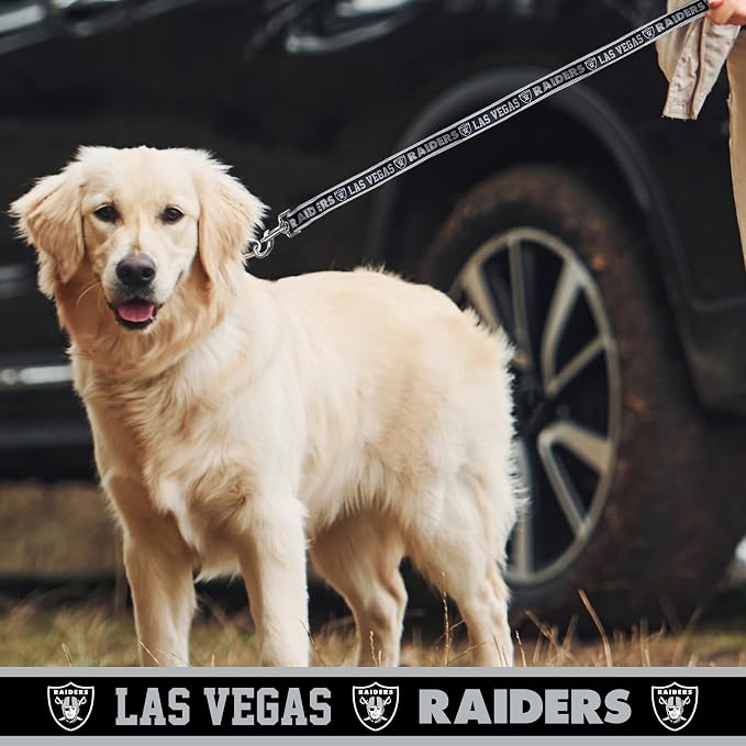 NFL PET Las Vegas Raiders Dog Leash, Small Football Team Leash for Dogs & Cats - Shiny & Colorful, Licensed by The NFL
