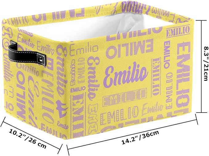 Personalized Toy Box Storage Bins for Boys Girls with Name, Kids Custom Storage Basket Cubes Organizer with Handles, Shelf Closet Storage Baskets Bin Customized Gift, 1 Pack