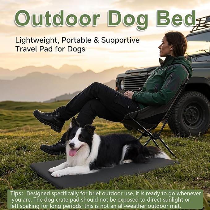 Outdoor XL Dog Crate Pad Bed, Waterproof Wipeable Mat, 41x27, Black | Wipeable Kennel Mat Pet Sleeping for Medium Large Dogs, Waterproof, Outdoor, Anti-Slip, Suit for Travel, Trunk, Kennel