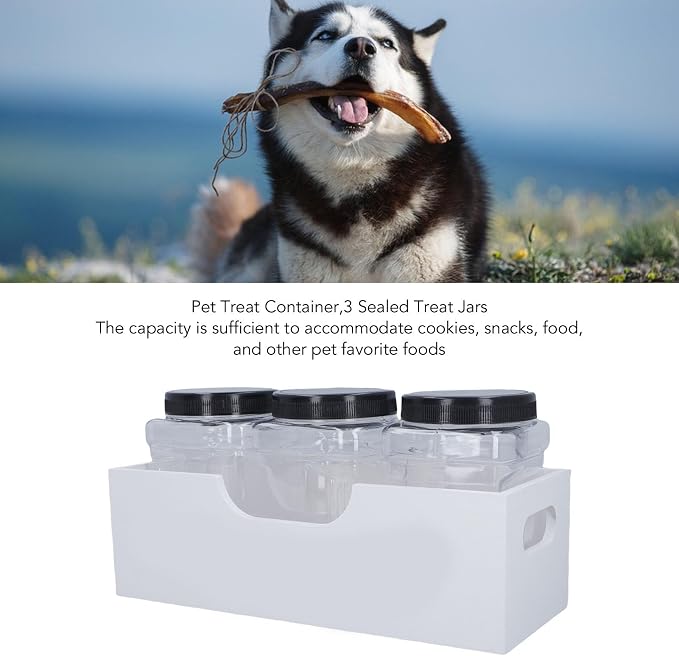 Pet Treat Containers Airtight Jars Well Sealed Snack Organizer for Dog Cat, Wooden Stand, Large Capacity, Transparent, White