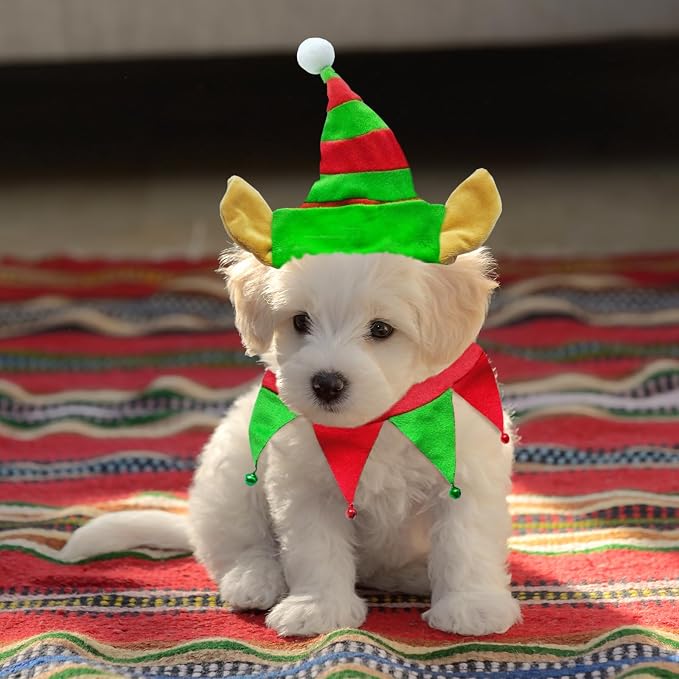 PetGear Xmas Elf Dog & Cat Costume - Christmas Pet Cosplay Clothes - Gnome Dress Up Accessories - Winter Holiday Apparel for Cats & Puppies (S)