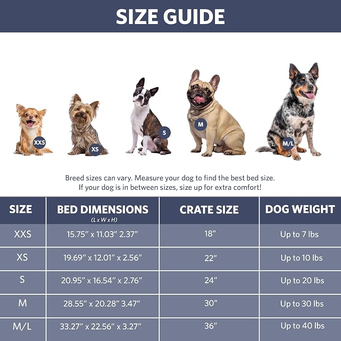 MidWest Homes for Pets QuietTime Fashion XXS Dog Bed - Blue Faux Fur Bolster, Ultra-Soft and Machine Washable, Fits 18-Inch Crates and Carriers, for Small Dogs and Cats