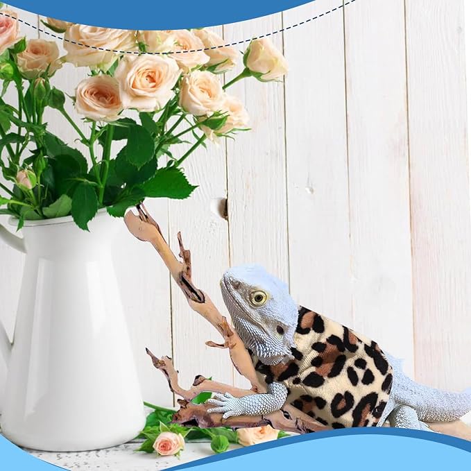 Lizard Clothes Bearded Dragon Hoodie Sweater Jacket Small Pet Costume Flannel Apparel for Reptiles Party Cosplay Props Chameleon Outfit Reptile Clothing Accessories（Leopard）