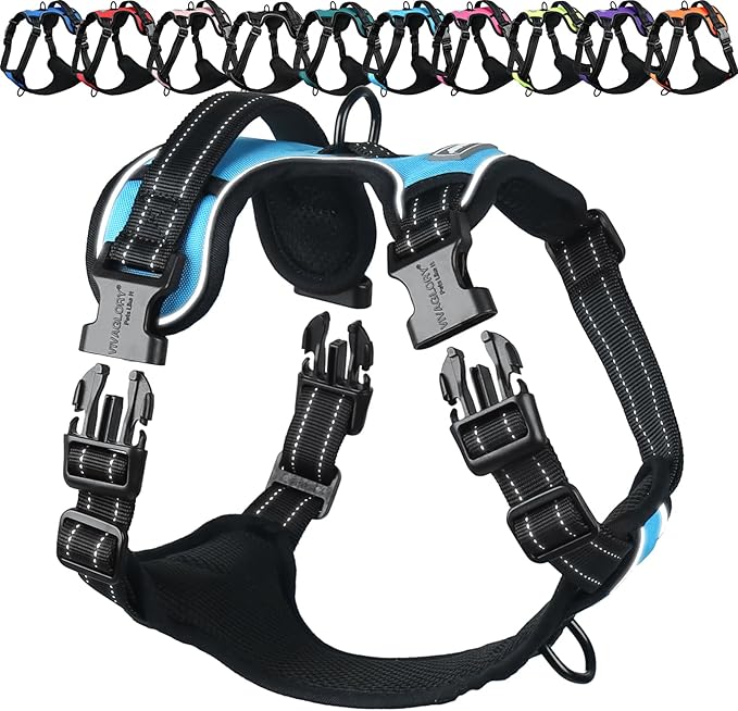 VIVAGLORY No Pull Dog Harness Vest Harness, XL, Sky Blue - Plain | with Handle Front and Back Clip for Training & Pulling, No Pull & Escape Proof Padded Adjustable for Pet Puppy
