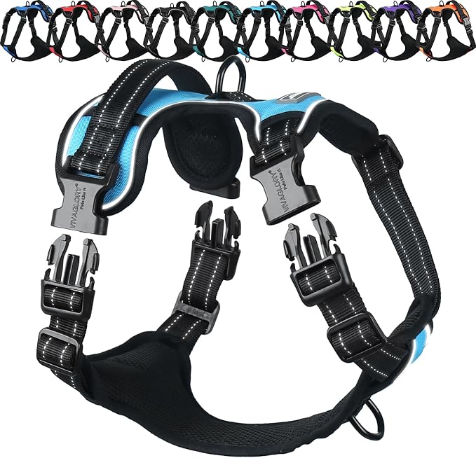VIVAGLORY No Pull Dog Harness Vest Harness, L, Sky Blue - Plain | with Handle Front and Back Clip for Training & Pulling, No Pull & Escape Proof Padded Adjustable for Pet Puppy