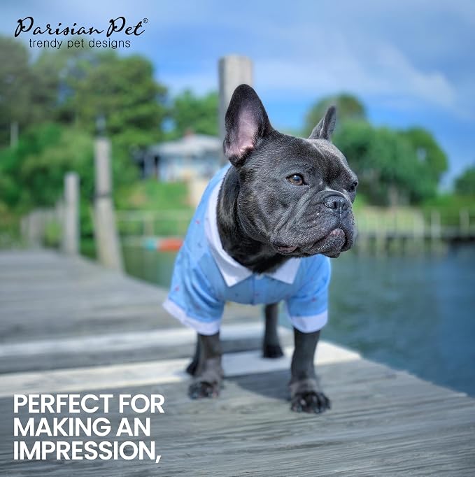 Parisian Pet Anchor Dog Shirt – Nautical Shirts for Small Dogs – Summer Puppy Clothes – Lightweight and Breathable Dog Clothes – Light Blue Dogs Beach Outfit - Comfortable and Trendy Pet T Shirts