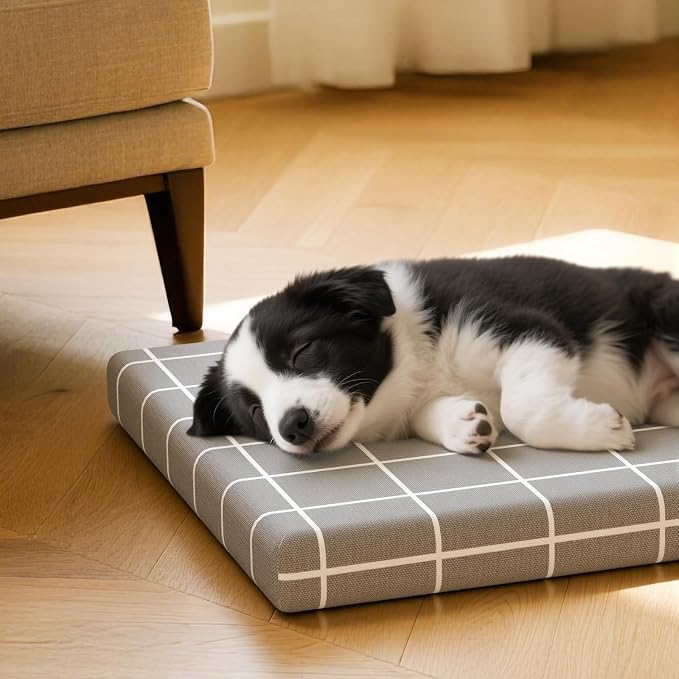17 in Dog Bed Mat, Foam-Filled Crate Mat with Removable Cover | Breathable pet pad with removable cover for crate training, couch lounging, and travel; comfortable foam-filled design