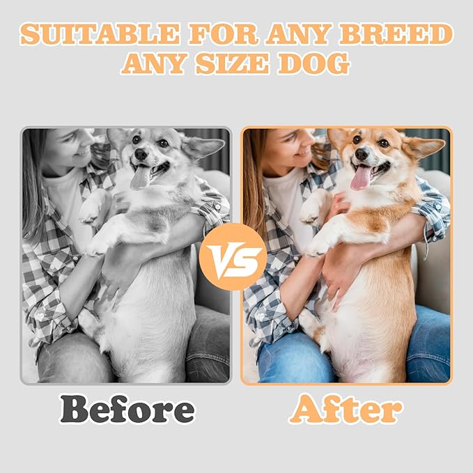 3 in 1 Rotatable Dog Scratch Board with Food Storage Compartment Box Round Stress-Free Scratch Pad ABS Nail Grinder Claw Care Dog Claw Grinder Board (Blue)