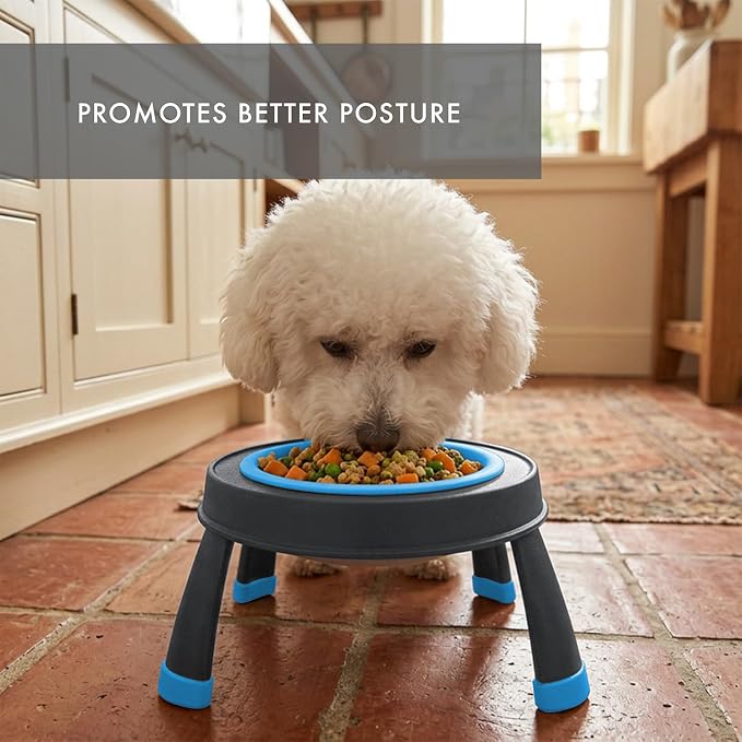 Dexas Pets Elevated Pet Feeder, Small, 1.5 Cup Capacity, Blue, Raised Pet Food and Water Bowl