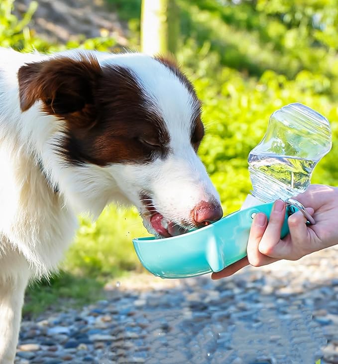 Foldable Pet Water Bottle for Travel, 2 in 1 Portable Dog Water Bottle, Travel Dog Bowls with Food Container, Leak-Proof & Compact Dog Travel, Foldable Pet Water Bottle (Color A)