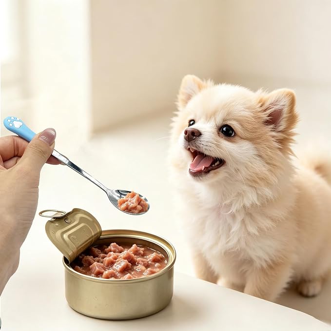 6PCS Set Cat Treat Spoon Squeeze,Can Lids, Opener Spatula and Spoon