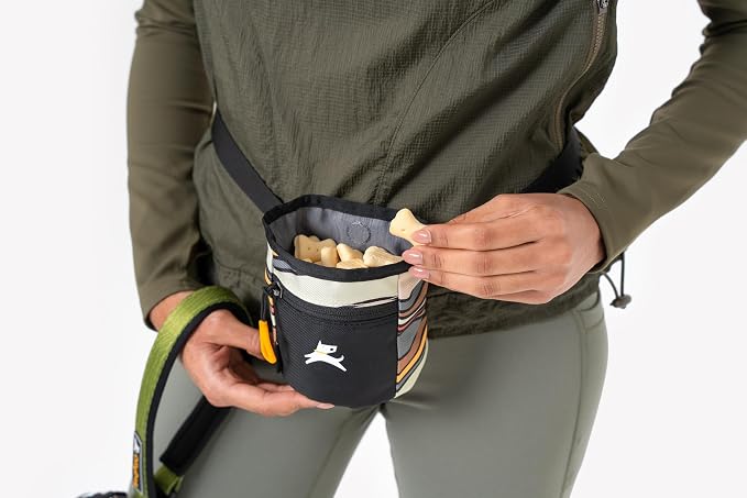 OllyDog, Goodie Treat Bag, Dog Treat Training Pouch | Magnetic Closure | 3 Ways to Wear | Hands-Free Waist Belt | Water-Resistant Recycled Vegan Fabric (Ventura '73)
