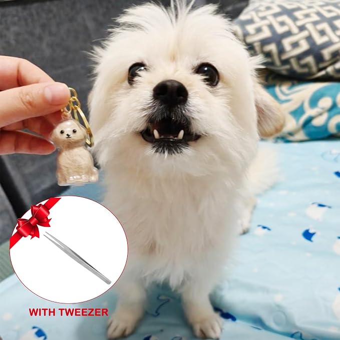 Cute Dog Hair Keychain Transparent Pet Fur Keepsake with Tweezer | Portable Dog Fur Keychain DIY Pet Hair Memorial Keepsake Dogs Hairs Collector Charm Storage Box, Dogs Lover Collecting Gifts