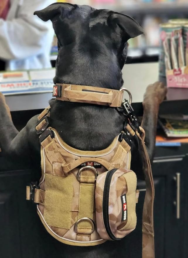 Boss Dog Tactical Molle Bag, Tan Camo, Large