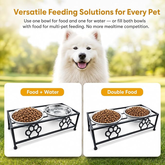 Raised Dog Bowls for Small Dogs, Elevated Bowl Stand Stainless Steel Dishes | Small Dog Bowl Stand with Two Thickened 5.3 Inch Stainless Steel Food Bowls, Raised Dog Dishes for Small & Medium Dogs, Black