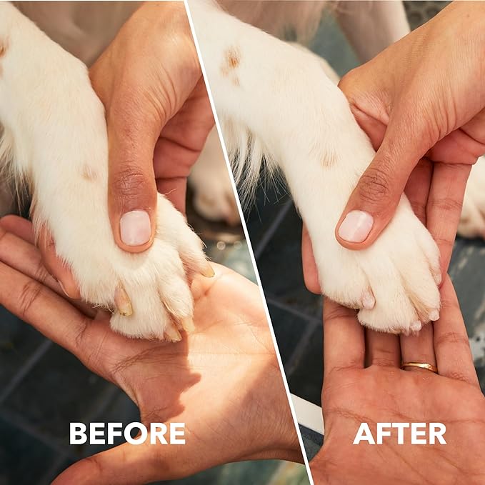 Dremel Pet Grooming Nail Guard Attachment, Ideal for Dog & Cat Nail Trimming, AT02-PGK