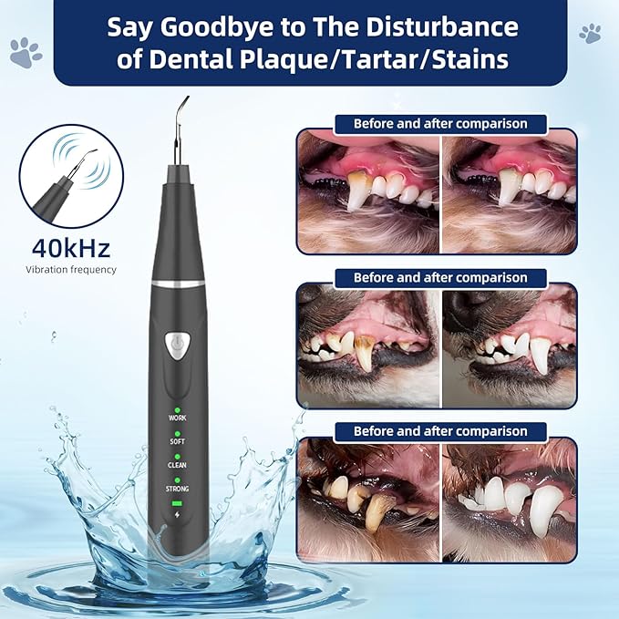 Plaque Remover for Teeth, Pet Ultrasonic Cleaner, Dog Plaque and Tartar Remover with LED Light, Dog Teeth Cleaning Dental Care Kit for Tartar and Stains, Suitable for Dogs and Cats (Black)